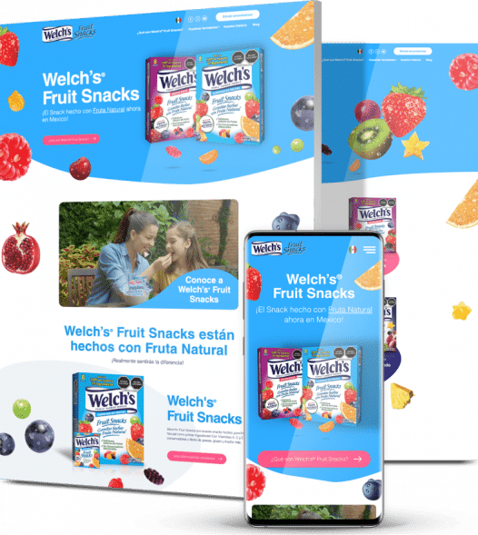 Custom-web-development-company-client-Welch-526x589-1