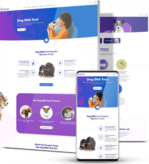 custom-web-development-company-featured-example-Dognomics-574x633-1